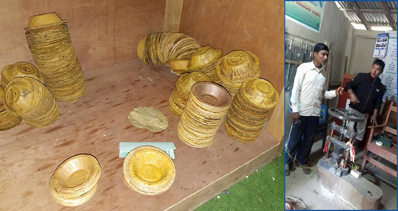 निजगढ विमानस्थल निर्माण: साढे २४ लाख रूख काटिँदै