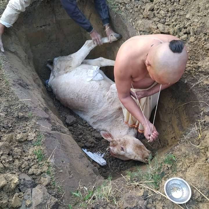 गाई मरे पछी आमा सरह काजकृया गर्दै बिस्वकर्मा